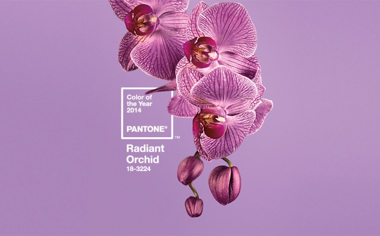 radiant orchid 2014 color of the year