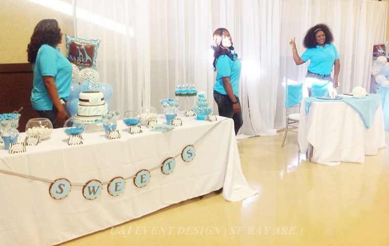 brown blue animal print baby shower banner