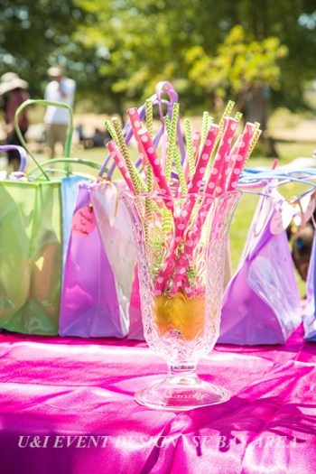 birthday party patterned paper straws_union city east bay park_event planner
