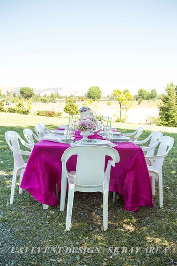 fremont california park_outdoor kids birthday idea