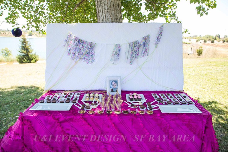 pink shabby chic kids birthday decor_fremont california park