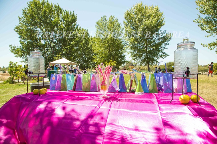 quarry lakes park fremont_birthday lemonade stand_goody bags
