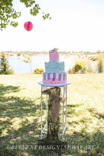 rustic vintage shabby chic kids cake_east bay park_outdoor birthday