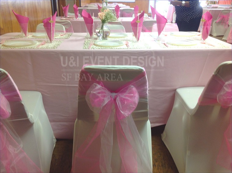 pink princess party chair sash bay area